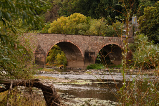 Niedrigwasser, Drususbr&uuml;cke, Bingen (Herbst 2026)