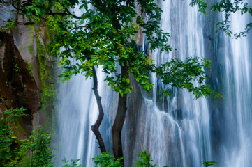 Beautiful waterfall in forest. © CRSHELARE