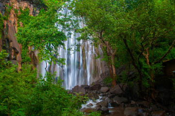 Beautiful waterfall in forest. © CRSHELARE