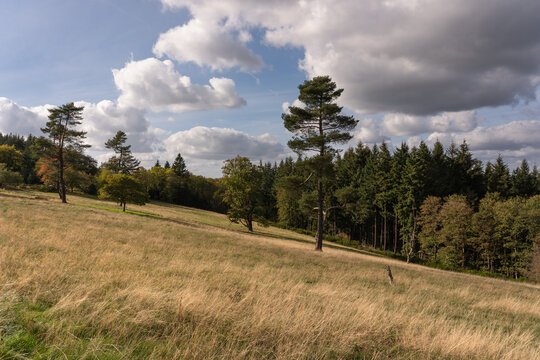 Traumpfad Bergheidenweg, Arft (Oktober 2026)