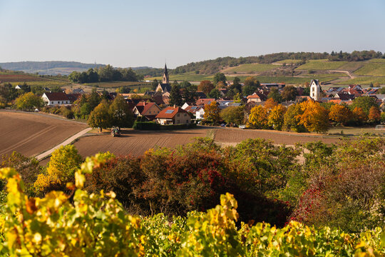 Siefersheim, Herbst 2026