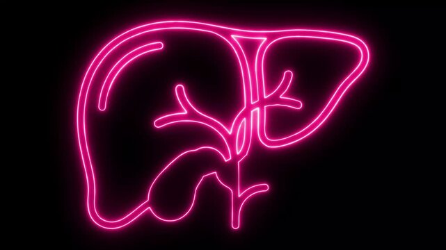 Pink Neon Human Liver and Gallbladder Line Art Animation, Glowing Anatomy Symbol on Black Background 4K