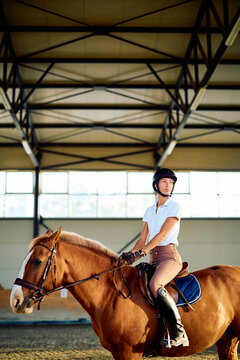 Equestrian rider wearing a helmet and holding the reins while mounted on a chestnut horse inside an indoor arena