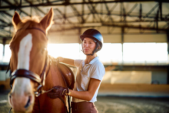 Equestrian rider wearing a helmet, standing beside a saddled chestnut horse and checking its tack in a sunlit indoor arena