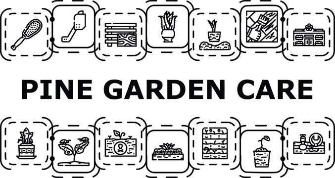 Pine garden care banner infographic. Disease mulching, sunlight drainage, needles fertilizer icon vector illustration