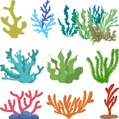 colorful underwater corals seaweeds kelp and marine flora set of Sea Plants and Coral Reef Set with Underwater Seaweed and Marine Algae on Transparent Background © Abdul Mateen