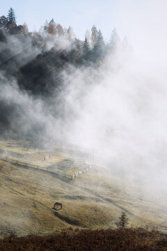 Dense morning mist drifts across a mountain village surrounded by evergreen trees and grassy slopes. Sunlight filters through the fog to reveal a tranquil rural landscape