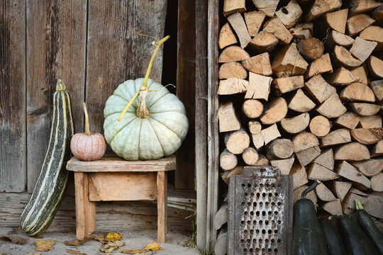 Decorative pumpkin on rustic stool beside striped gourds and stacked firewood. Cozy harvest still life with squash and farmhouse fall atmosphere