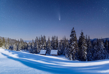 A snowy mountain forest lies beneath a star-filled night sky with a faint shooting star. Blue twilight and untouched snow create a tranquil winter wilderness scene © Ivan Kmit