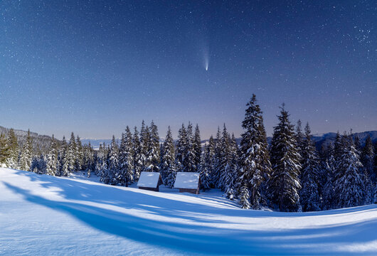 A snowy mountain forest lies beneath a star-filled night sky with a faint shooting star. Blue twilight and untouched snow create a tranquil winter wilderness scene