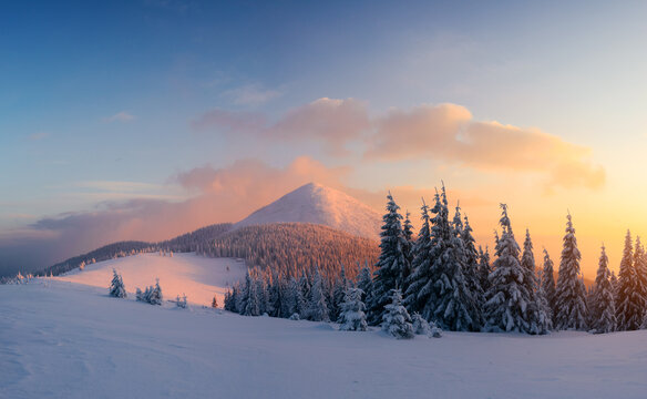 A snow-covered mountain glows in warm sunrise light above a frosted evergreen forest. Pink clouds and untouched snow create a peaceful alpine winter scene