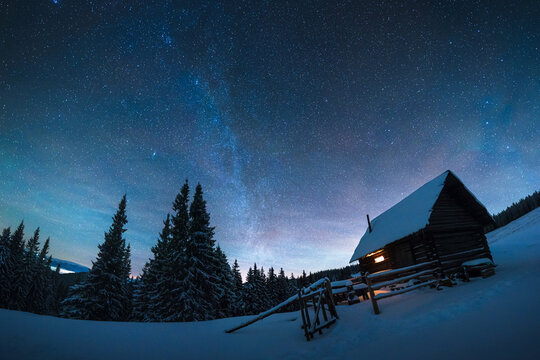 A rustic wooden cabin stands beneath a star-filled night sky surrounded by snow-covered pine trees. Blue twilight and fresh snow create a peaceful winter wilderness scene