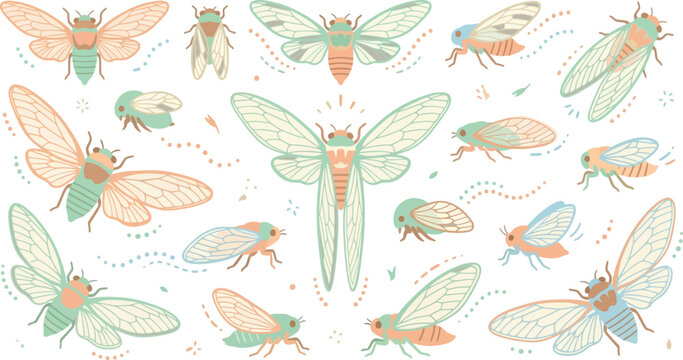 Various Cicadas in flight during summer with pastel colors and dotted lines vector illustration