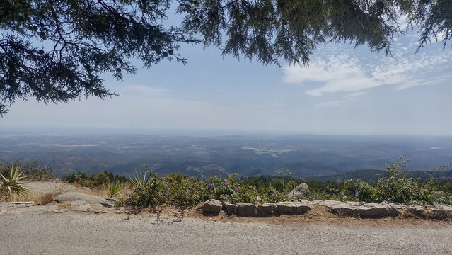 A scenic view of a mountain range and the valley below, seen from a rocky overlook beneath leafy tree branches in the light of day