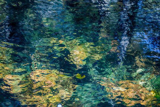 autumn trees reflected in the forest river