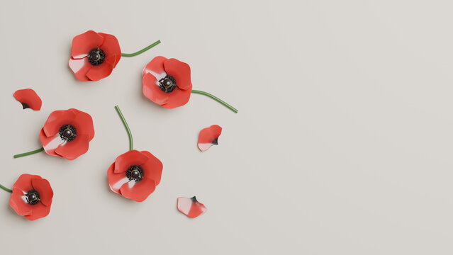 3D render of red poppy flowers scattered on white background, Veterans Day Remembrance Day memorial concept