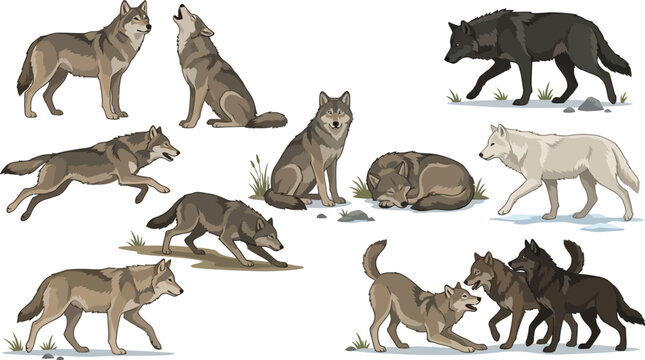 Diverse wolf pack poses during winter on snow-covered ground vector illustration