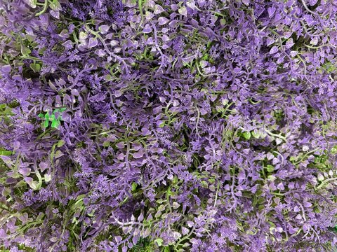 Background featuring a delicate floral composition in shades of purple and lavender flowers. Fresh green leaves and petals create a soft, beautiful floral scene.