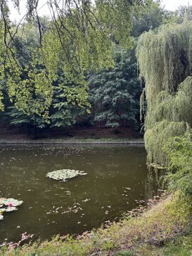 A beautiful lake in a green park. Vertical view