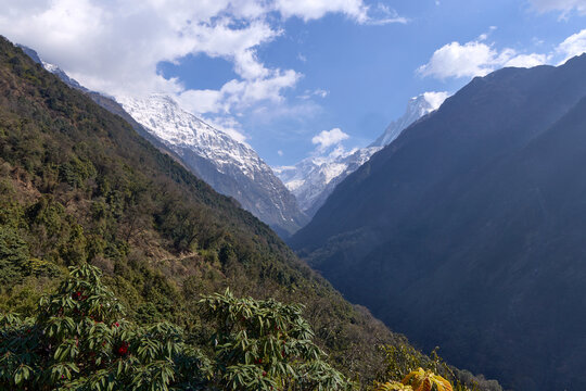 Machapuchare and snowy peaks above green Modi Khola valley