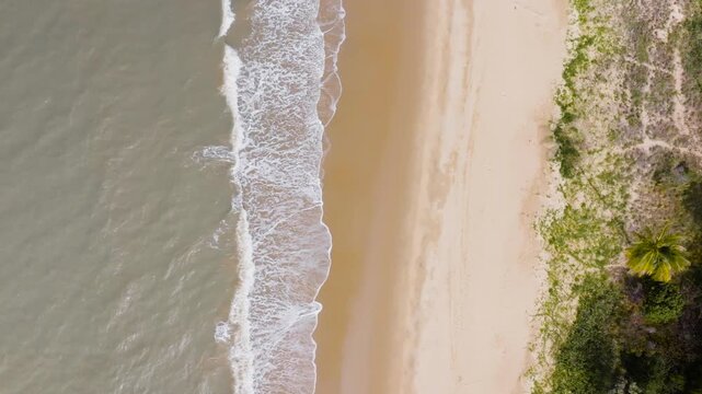 Waves Swashing on the Tropical Shore of Australia Near Cairns, Etty Bay Beach, Queensland