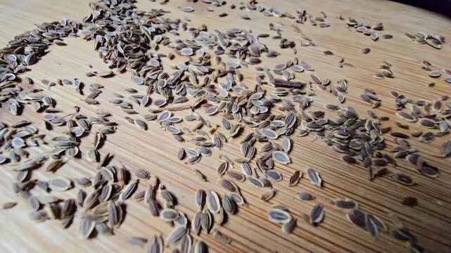 Top-down high angle shot of dry dill seeds scattered across a wooden cutting board, presenting a clear view of their texture and patterns