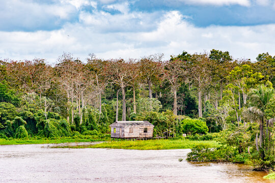 Wide view of isolated wooden stilt house on the Amazon River bend surrounded by dense rainforest near Almeirim, Para, Brazil