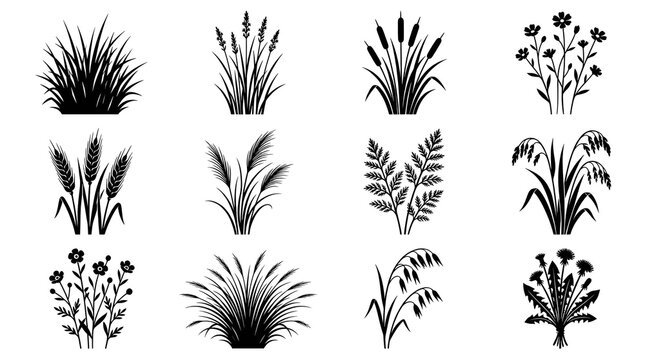 Set of black silhouette grass and wild flower plant icons for nature design elements and garden landscape decoration