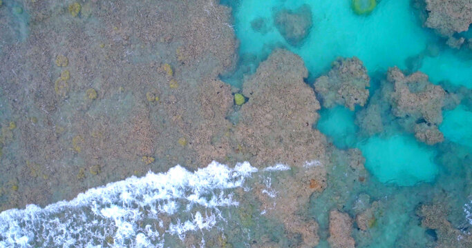 Aerial view of a vibrant coral reef meeting the ocean waves