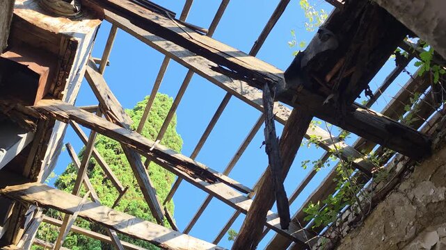 Ruined building interior with a collapsed timber roof, exposing blue sky through weathered beams and allowing green branches to spread across cracked masonry