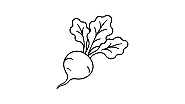 Fresh radish line art vector icon illustration isolated on background.