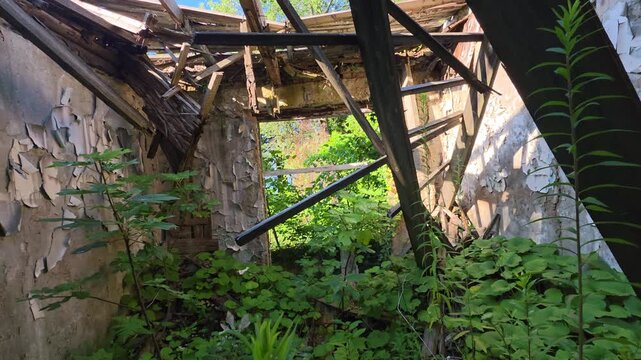 Abandoned building interior, dense vegetation reclaiming peeling walls and collapsed timber beams, with forest foliage and sunlight filtering through the exposed roof structure