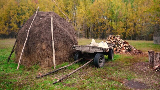 A haystack in a rural village surrounded by autumn forest. Firewood and an old horse trailer stand in a meadow, capturing the peaceful atmosphere of a remote farm far from civilization.