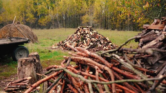 Firewood stacked on a rural farm near an old village cottage surrounded by forest. Traditional wood heating as an alternative energy source for off-grid living without electricity.