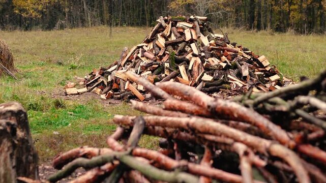 Firewood stacked on a rural farm near an old village cottage surrounded by forest. Traditional wood heating as an alternative energy source for off-grid living without electricity.