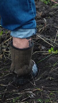 Close-up of a farmer loosening and preparing fertile soil with a rake on a rural farm. Manual agricultural work in the garden, promoting soil health, sustainable farming, and planting preparation.