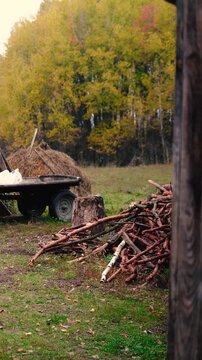 A haystack in a rural village surrounded by autumn forest. Firewood and an old horse trailer stand in a meadow, capturing the peaceful atmosphere of a remote farm far from civilization.