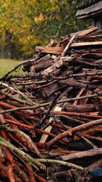 Firewood stacked on a rural farm near an old village cottage surrounded by forest. Traditional wood heating as an alternative energy source for off-grid living without electricity.