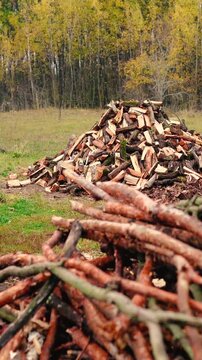 Firewood stacked on a rural farm near an old village cottage surrounded by forest. Traditional wood heating as an alternative energy source for off-grid living without electricity.