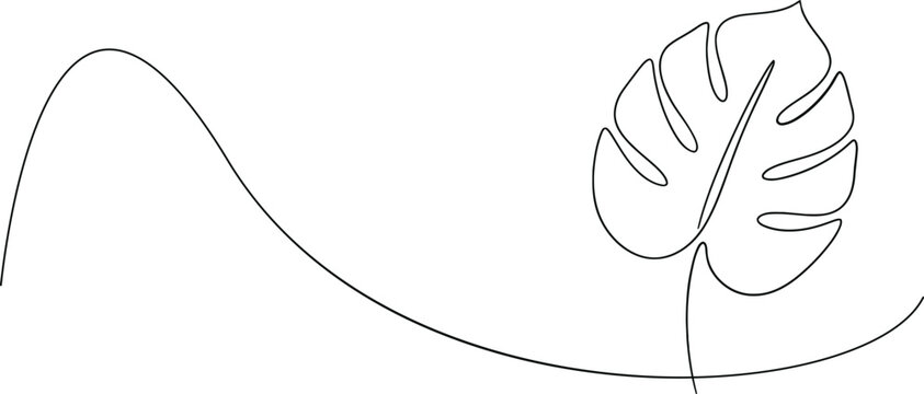 Continuous one line drawing of a tropical monstera leaf Vector