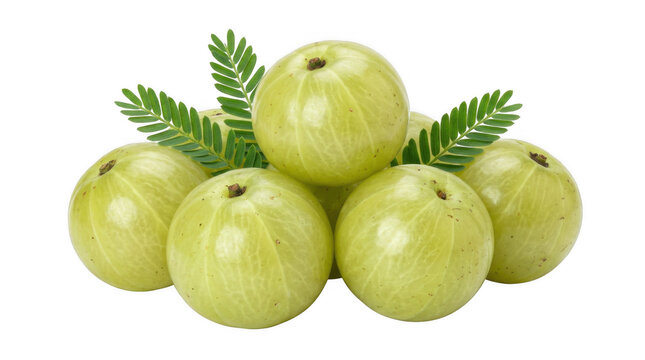 Fresh amla Indian gooseberries with leaves isolated on transparent background