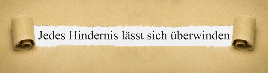Jedes Hindernis lässt sich überwinden © magele-picture