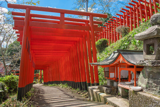 扇森稲荷神社の鳥居