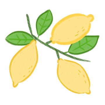 lemon with leaves