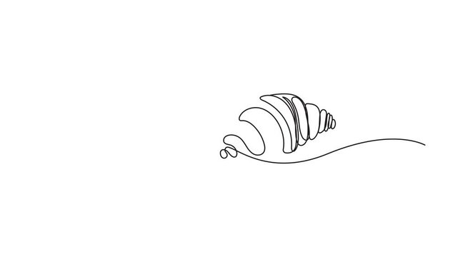 Continuous line animation of sea shell appearing on white background minimal continuous motion