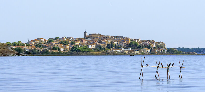 View on the town of Bages, seen over the pond of bages and sigean, with cormorants sitting on artisanal fishing equipment, on a sunny day in summer  
