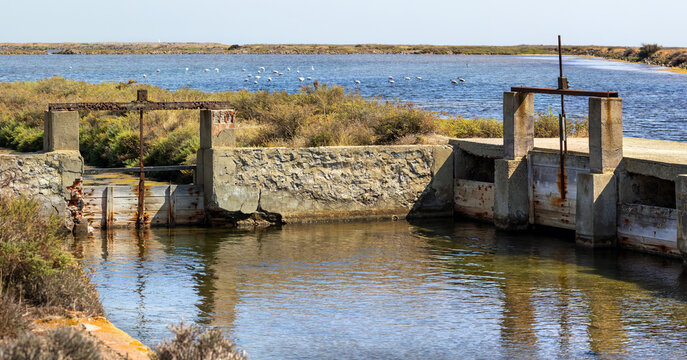 Former water intake of abandoned salt-works of Gruissan, now used as feeding pond by flamingo's