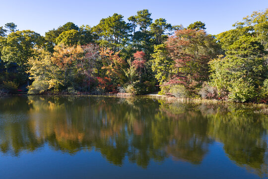 Colorful autumn foliage is found fringing Pilgrim Lake in Orleans, Massachusetts. This scenic destination is on the outer part of Cape Cod, not far from the Atlantic Ocean.