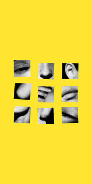 Human face divided into nine isolated features on yellow background, fragmented identity collage. Perception, individuality, contemporary art concept.