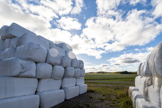 Nykoping, Sweden Large stacked hay bales wrapped in white plastic.